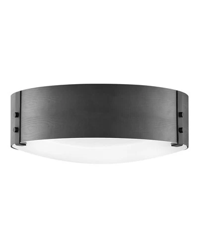 Hinkley Lighting 29203 Sawyer 3 Light 15"W Open Air Outdoor Flush - Black - Picture 1 of 7