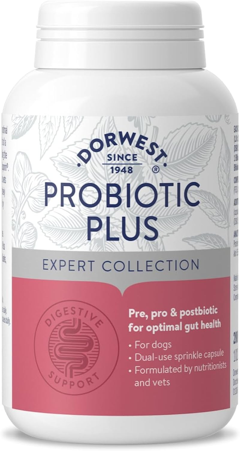 Dorwest Herbs Dorwest Probiotic Plus For Dogs For Optimal Gut Health 200 Capsules - Image 2