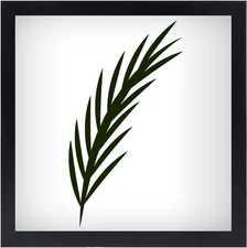 11X11 Picture Frame in Black - Horizontal and Vertical Formats for Wall - Photo