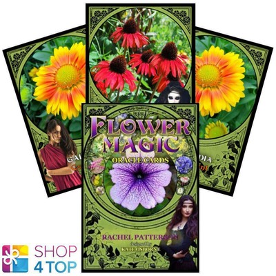 FLOWER Magic Oracle SOLARUS Karten Und Reiseführer Set Rachel Patterson Neu