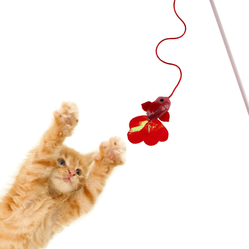 fun cat toys