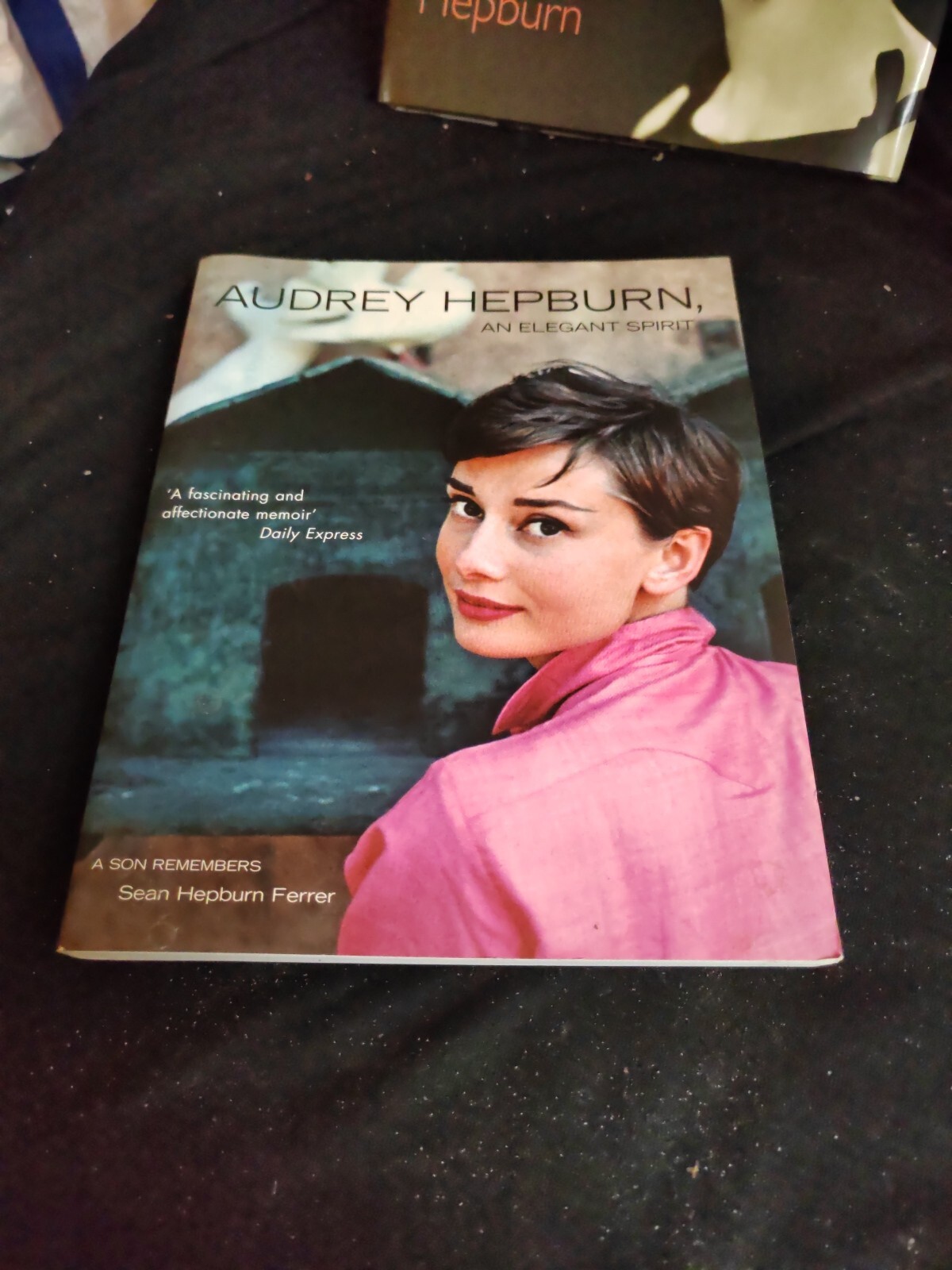 Audrey Hepburn, an Elegant Spirit: Audrey Hepburn, an Elegant Spirit by Sean...