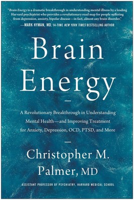 Brain Energy | Christopher M. Palmer | Buch | Gebunden | Englisch | 2022