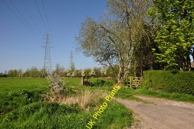 Photo A2 Sedgemoor : Grassy Field & Road Andersea A path heading off fro c2014