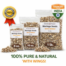 Moringa Seeds WITH WINGS Semillas de Moringa oleifera Pepa Malunggay Wholesale
