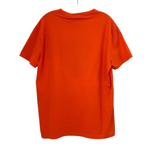 NEW Polo Ralph Lauren Jersey Graphic T-Shirt Trail River Wall Orange Men Medium - Picture 4 of 11