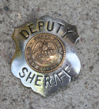 Vintage Obsolete Police Deputy Sheriff New Mexico Badge