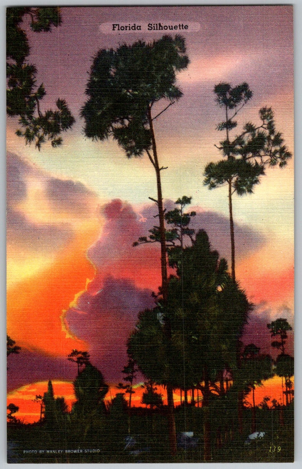 Vtg Linen Postcard Silhouette Pine Trees Sunset Florida, US 1940s