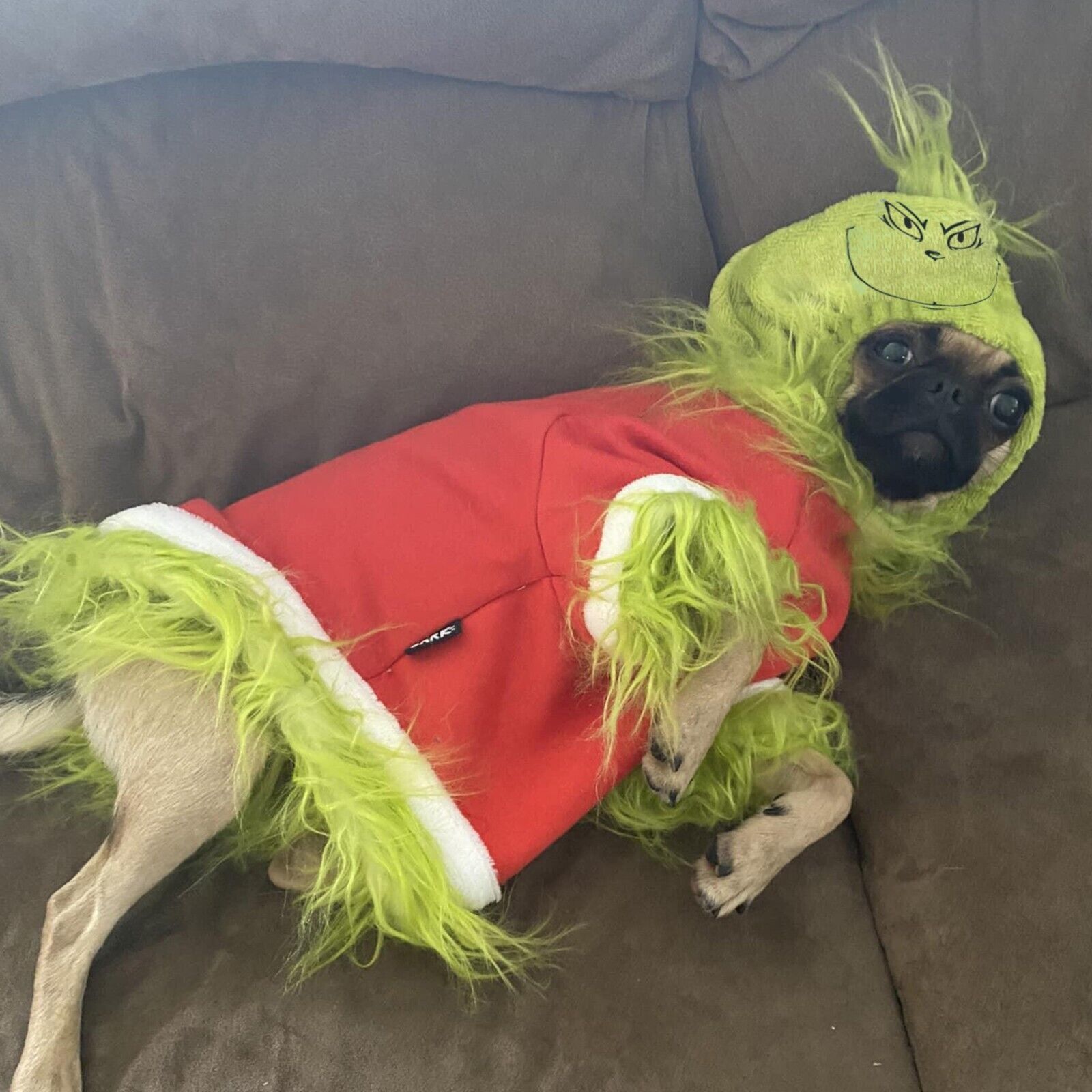 Arriba 35+ imagen grinch dog outfit