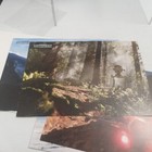 Picture 6 of 6