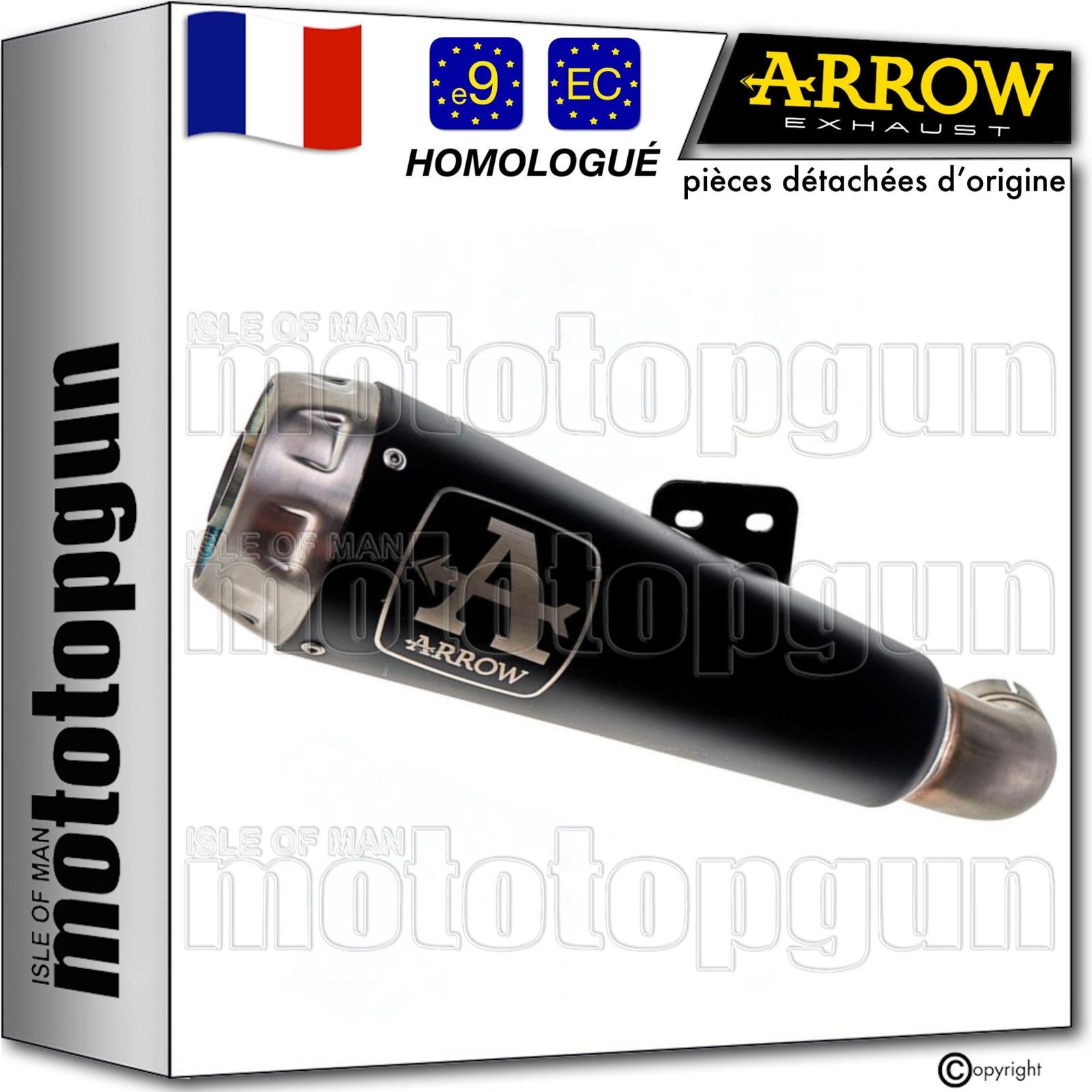 Échappement Arrow Pro-Race noir pour BMW R Nine T Scrambler 2019