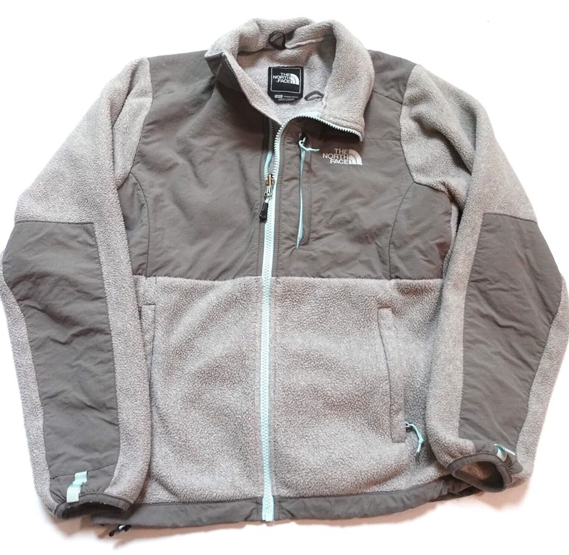 north-face denali full zip mock neck teal jacket