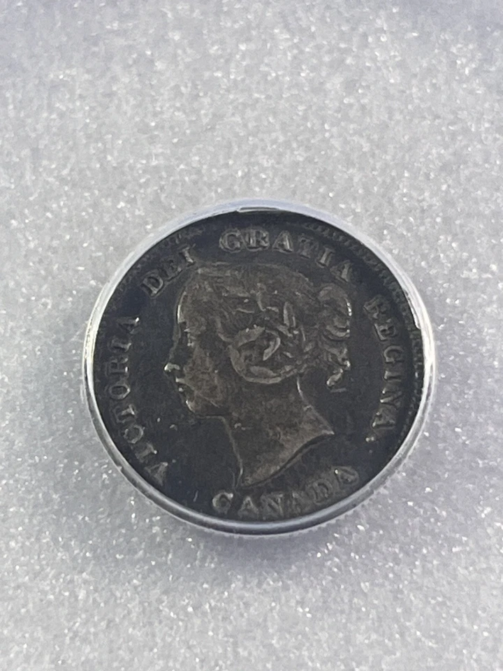 1888 Canada 5 Cents Small Silver Coin Graded XF 40 by ANACS - Image 3 of 4