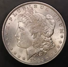 1882 Morgan Silver Dollar BU Fresh from an original collection-LOT 6318