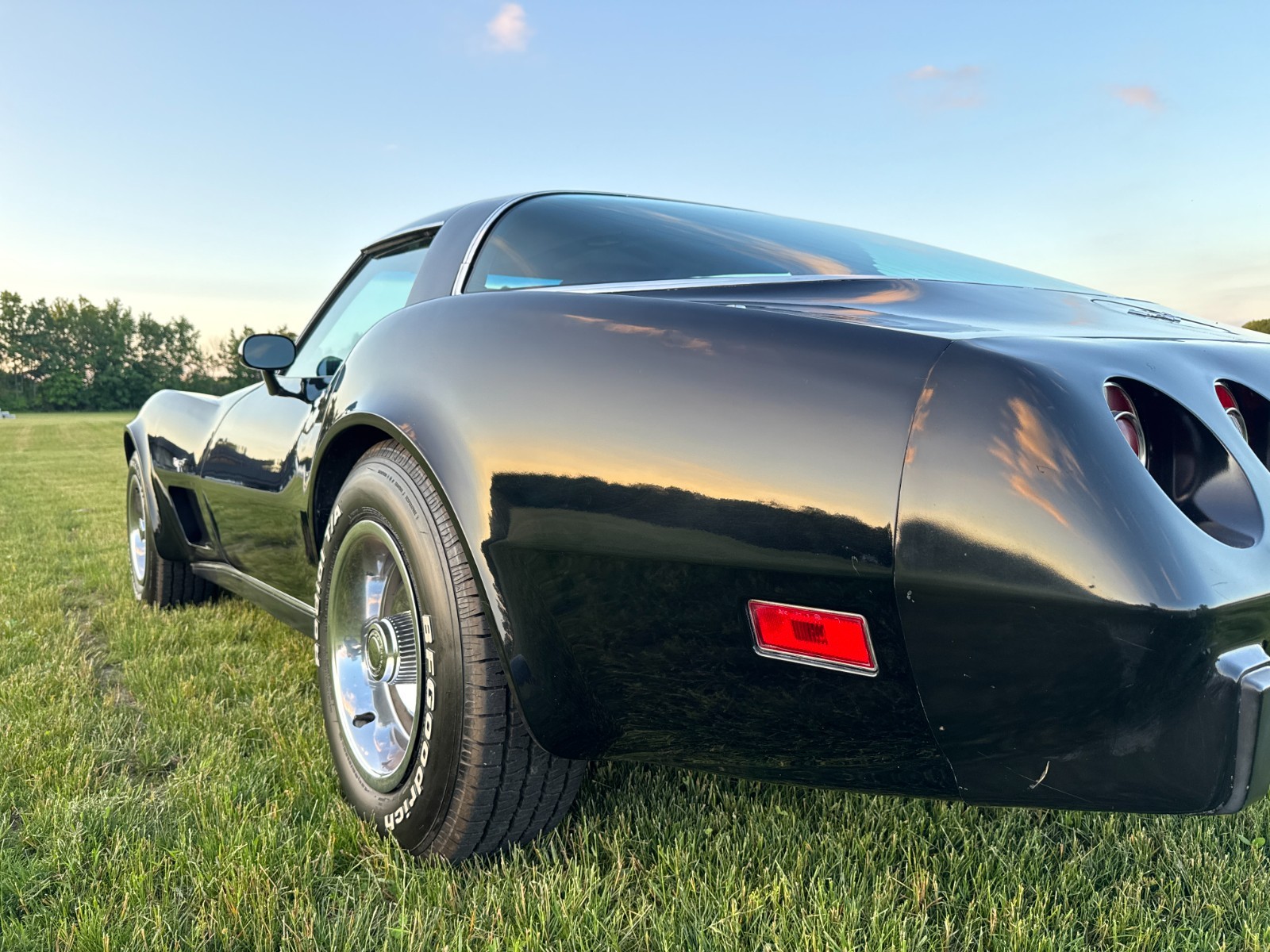 1979 Black Chevrolet Corvette   | C3 Corvette Photo 10