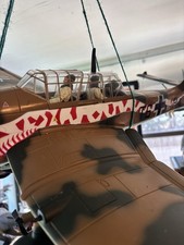 Model Stuka Desert Snake