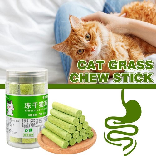 Cat Grass Sticks For Indoor Cat Grass Chew Sticks Cat Toy Cleaner Teeth W5J1