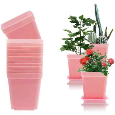 24 Pack 3" Pink Small Plant Pots, Square Plastic Nursery Pots w/ Saucer  Baskets | eBay
