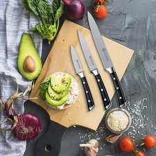 Kitchen Knife Set - 1829 CARL SCHMIDT SOHN 6 Pieces Knife Set with Block, Forged