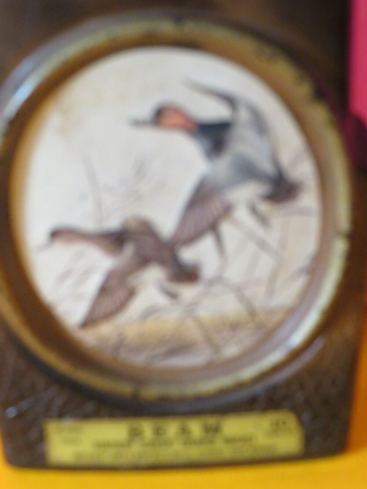 Picture 2 of 4
