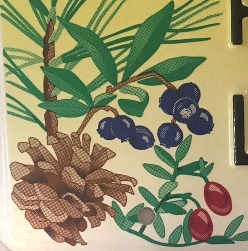 WILDLIFE FROG PINE BARRENS NATIONAL PARK license plate Pinelands Wild Animal - Picture 2 of 12