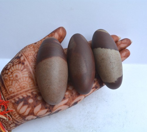 3" Shiva Lingam Stone Narmada River India Gorgeous & Exquisite Lingam~059 - Picture 2 of 10