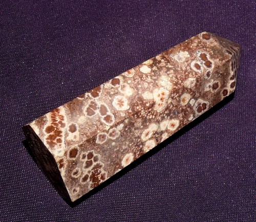 Versteinerte Koralle, achatisiert, Indonesien 56,6g, 70x26x19mm Fossil - Bild 5 von 6