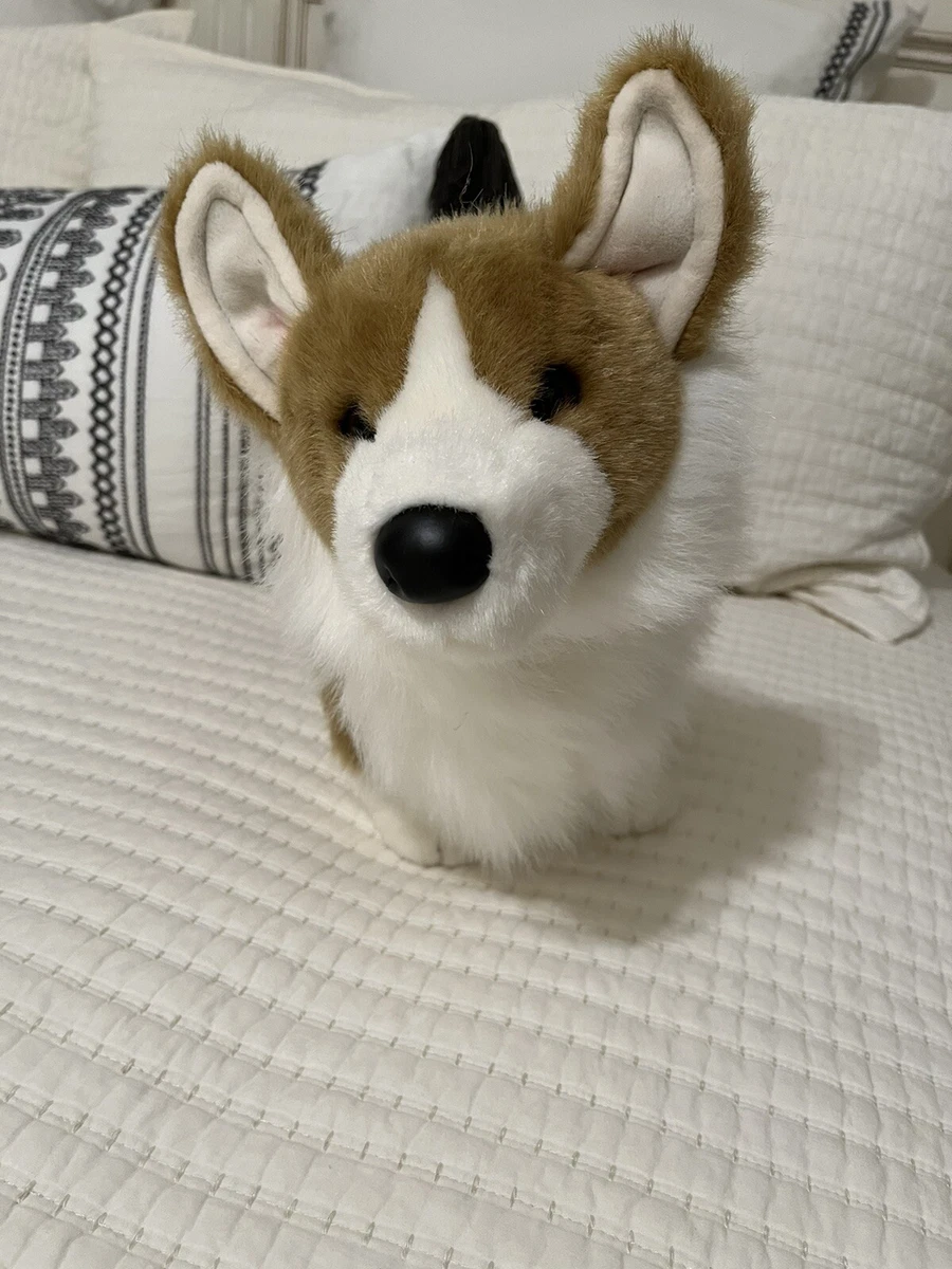 Chadwick Corgi