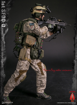 Perfect Damtoys 78074 1st SFOD-D Combat Applications Group Gunner