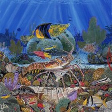 Ceramic Backsplash Tile Mural Fishing Saltwater Fish - Lobster Sanctuary