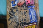Bild 9 von 16