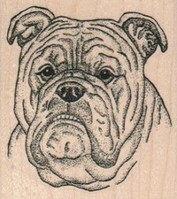 Sad Bulldog 2 1/2 x 2 3/4" Rubber Stamp, Dog Stamp, Dog Lover, Dogs