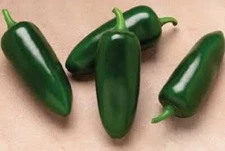 Premium Jalapeno Seeds - Organic Heirloom - Fresh Seeds - 2000 to 8000 Scoville