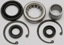 All Balls Racing Inner Primary Bearing and Seal Kit 25-3101 Harley