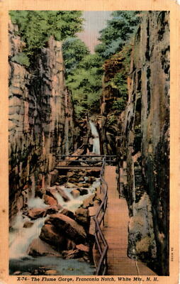 Flume Gorge, Franconia Notch, White Mountains, Bisbee Press, Lancaster, Postcard