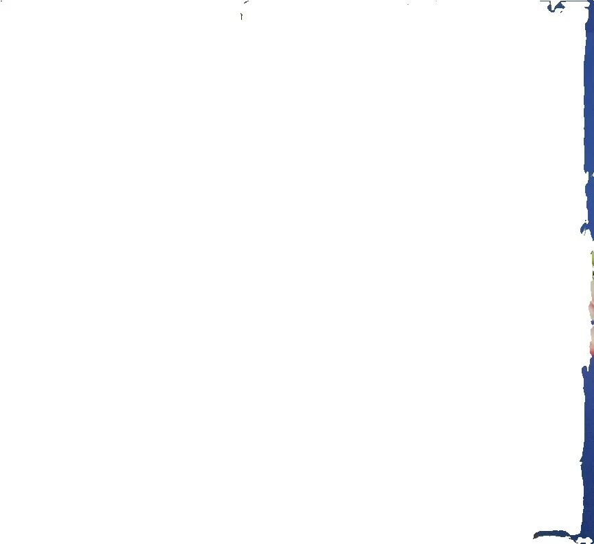 Géneros artesanales FLORAL POLIALGODÓN