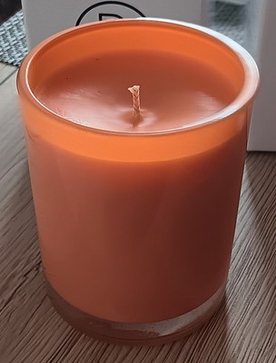 1 PartyLite DWG ''Wilder Rharbarber + Zitrus'' Jasmin/Rhabarber/Moschus/Sandel NEU