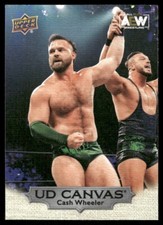 2022 Upper Deck AEW Canvas #C30 Cash Wheeler wrestling card