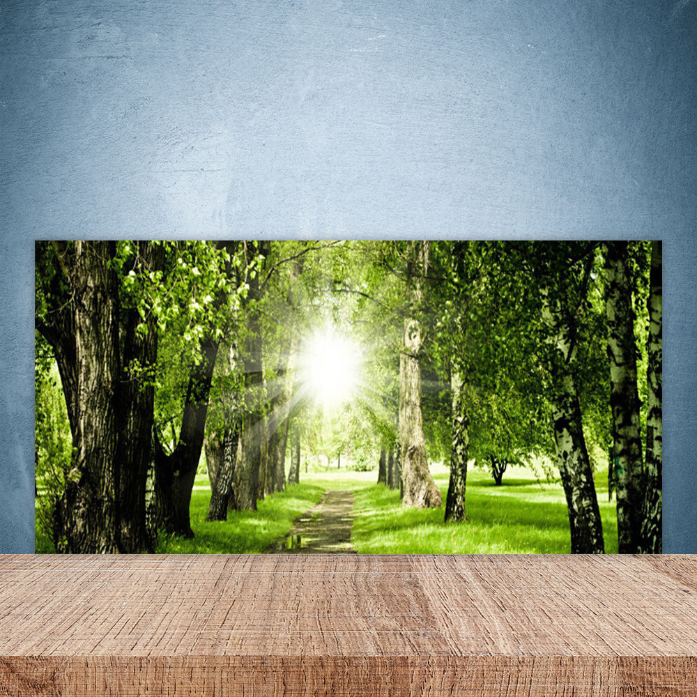 Crédence de cuisine en verre 100x50 cm motif forêt ensoleillée pour protection murale