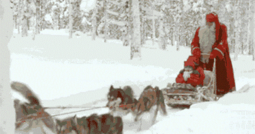 ALASKA CHRISTMAS FOLK ART DOG SLED NIKISKI SANTA CLAUS SLEIGH MOUNTAIN MAN TOYS - Picture 12 of 12