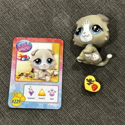 Littlest Pet Shop LPS G7 Scottish Fold Grey Cat W/ Cake & Card #229 RARE