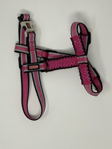 kong paracord harness