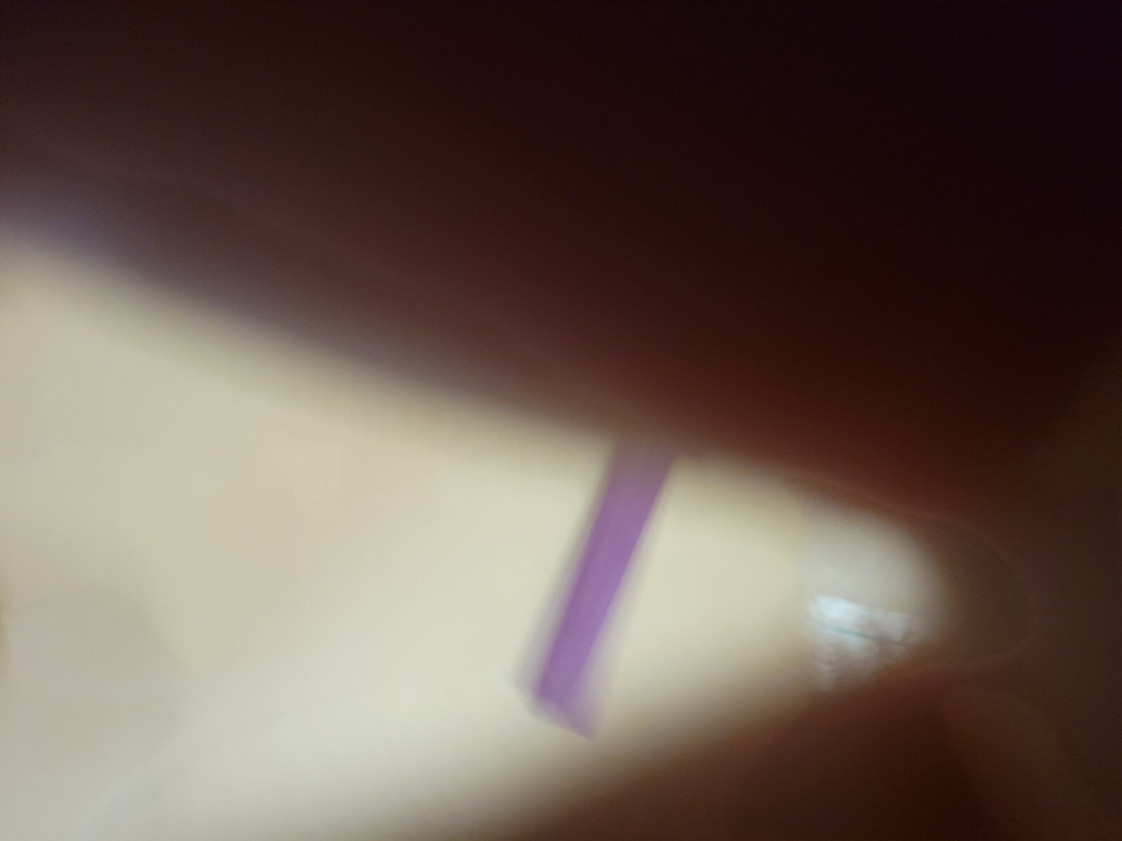 Bild 10 von 19