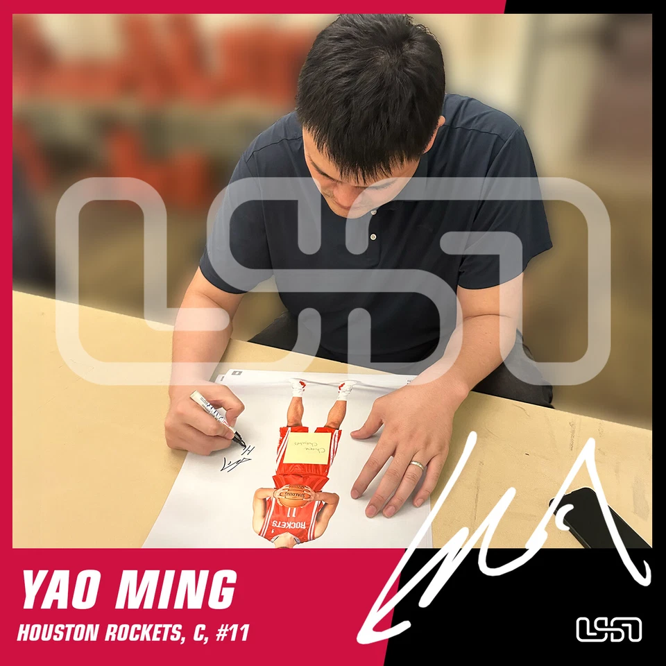 姚明休斯顿火箭队签名“名人堂 16”16x20 照片美国 SM BAS #4 — 第 2/4 张图片