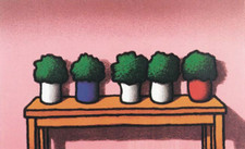 Tino Stefanoni | Serigrafia a colori