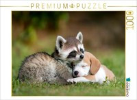 Calvendo Puzzle Raccoon And Puppy—Friendship Knows No Bounds | 1000 Pieces, Fini