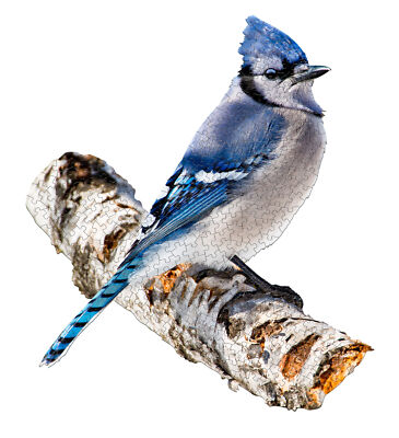 Madd Capp I AM BLUE JAY Animal-Shaped Jigsaw Puzzle, 300 Pieces