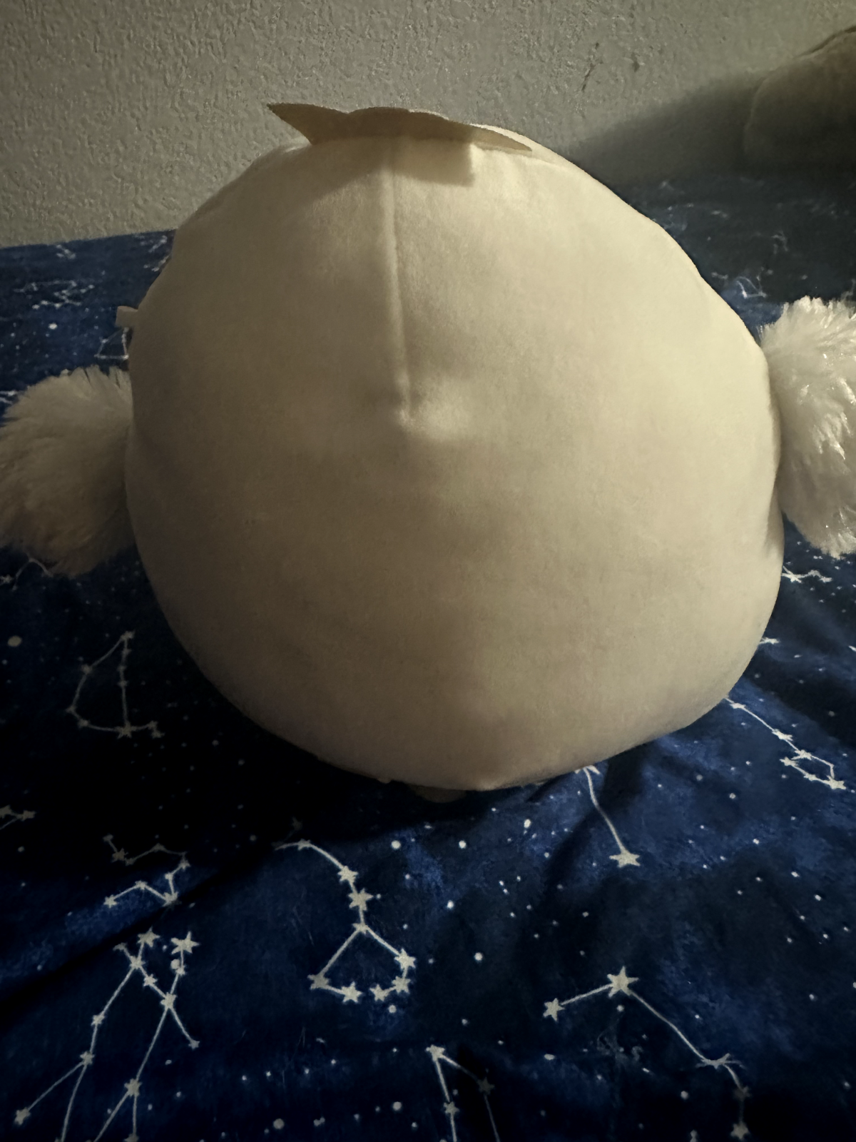 Picture 4 of 5