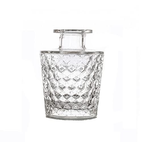 150 ml/5 oz vetro trasparente diffusore bottiglie vuote riutilizzabili (q9l)