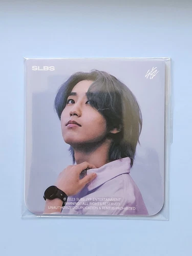 Stray Kids SLBS HAN FlipSuit Card For Galaxy Z Flip5 (Free TRACKED shipping) - Picture 1 of 2